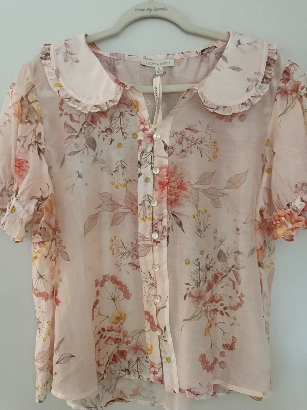 Lucky & Coco Floral Peter Pan Collar Blouse XL Cottagecore Fairy Sheer Top - Picture 8 of 8